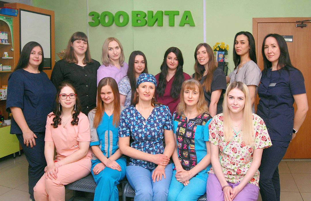 Ветеринарные врачи ветклиники ЗооВита в Казани