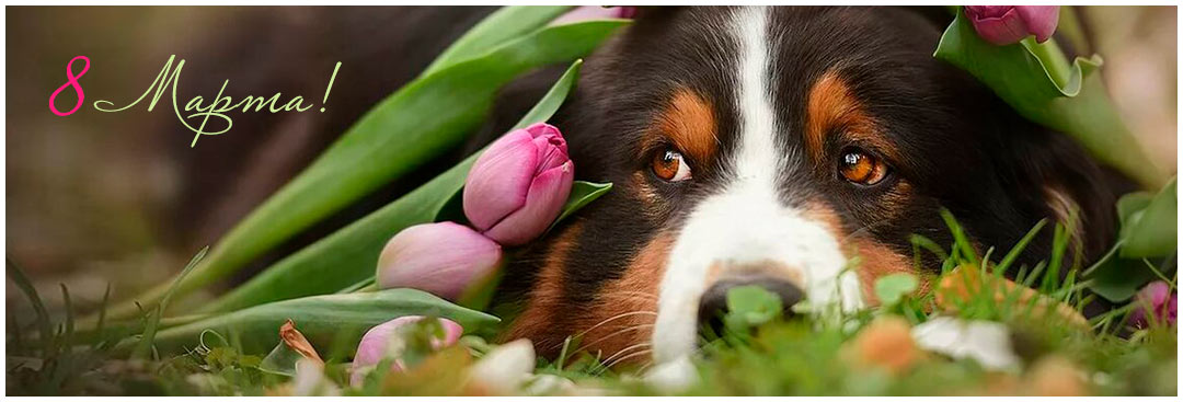 Поздравляем с Международным женским днём