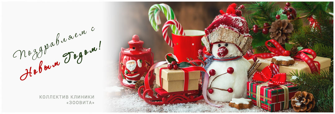 Поздравляем с Новым Годом